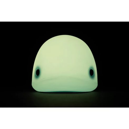 Asalite LED Éjjeli Lámpa Delfin 1W 