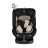 Moni i-Maxx i-Size Isofix gyermekülés (40-150 cm) - Bézs