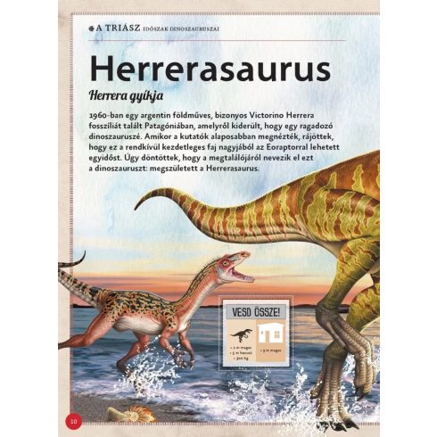Varázslatos útmutató a dinoszauruszokhoz