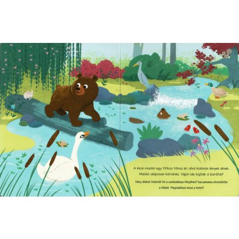 Varázslámpa - Az erdő lakói 