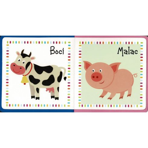 A kicsik első könyve - A háziállatokról 