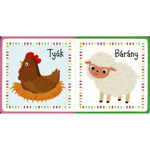 A kicsik első könyve - A háziállatokról 