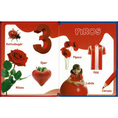 Szivacskönyv - Színek