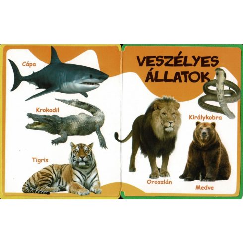 Szivacskönyv - Állatok