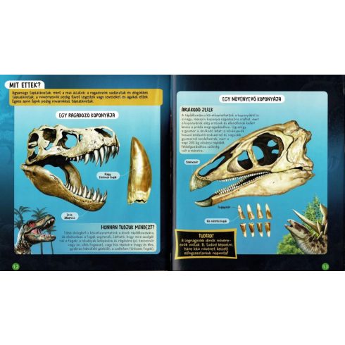 Nézd meg belülről - Dinók 