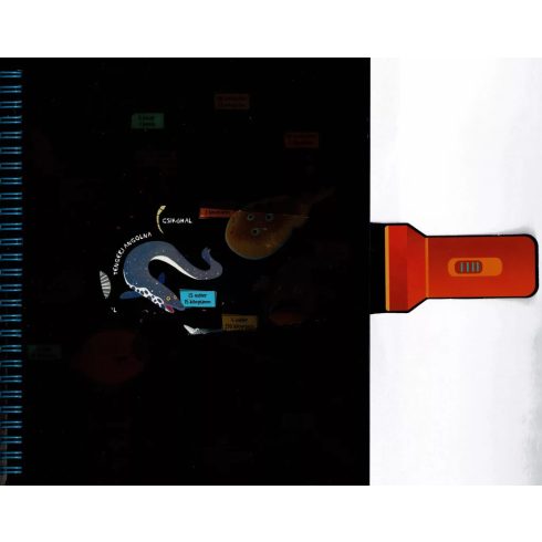 Csodalámpa - Tengeri állatok