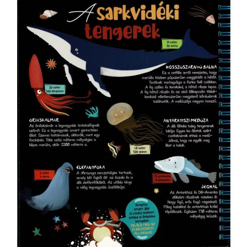 Csodalámpa - Tengeri állatok