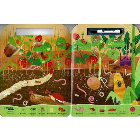 Böngéssz és karikázz! - Bogarak