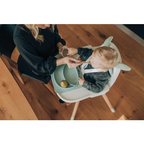 FreeON szilikon tányér Bear - Green 