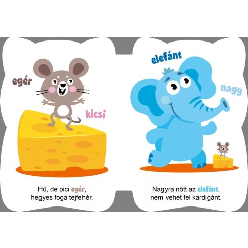 Pandi és barátai - Ellentétek 