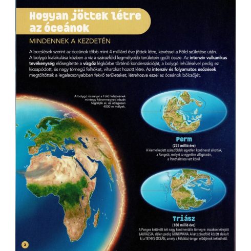 Dioráma - Tengeri állatvilág 