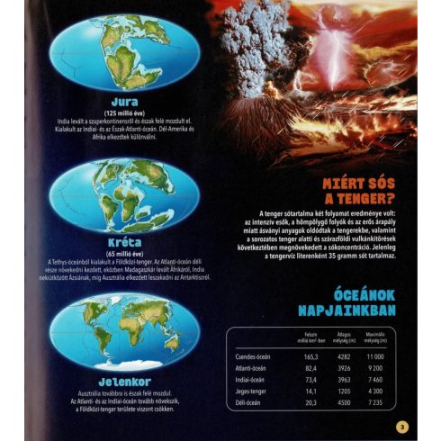 Dioráma - Tengeri állatvilág 