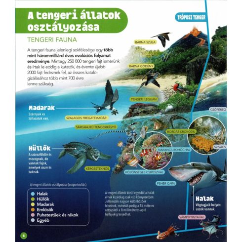 Dioráma - Tengeri állatvilág 