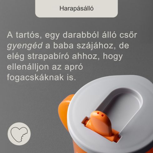 Tommee Tippee First Sipper itatópohár 4m+ - púder