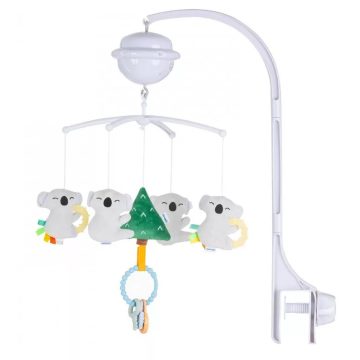 Chipolino Projektoros zenélő forgó - Koala