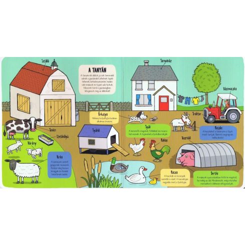 Kis felfedezők - Minden, ami állat 