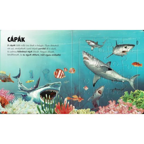 Szuper puzzle - Tengeri állatok