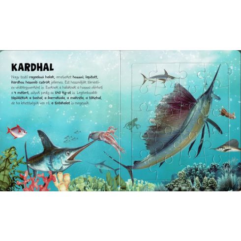 Szuper puzzle - Tengeri állatok