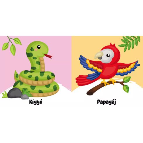 Dzsungel sípoló könyv