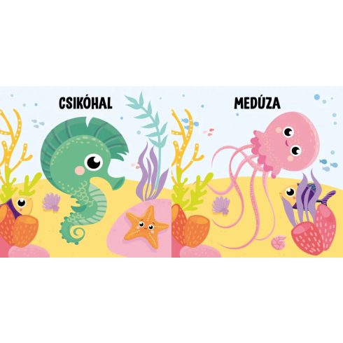 Hol van a halacska?  - sípoló könyv