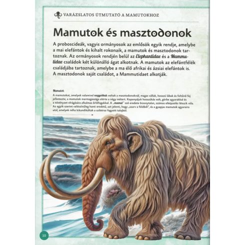 Varázslatos útmutató a mamutokhoz