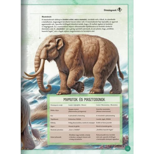 Varázslatos útmutató a mamutokhoz