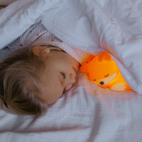 MARY'S Éjszakai fény - Róka 