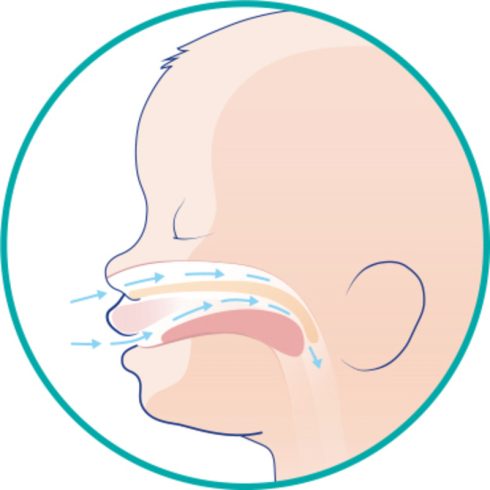 Chicco PhysioForma® Micro éjszakai minicumi 0-2 hó (2 db) - kék