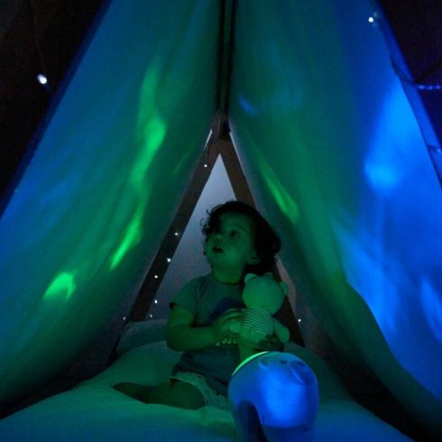 Chicco Jegesmedve projektor kiságyra, asztalra 0+ hó -  rózsaszín