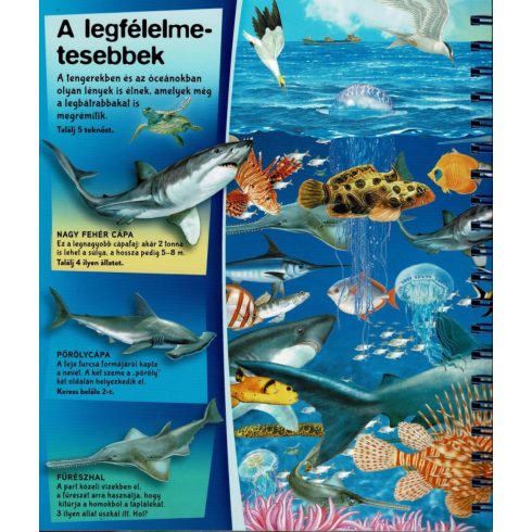 Nagyítóval - A tenger alatt 