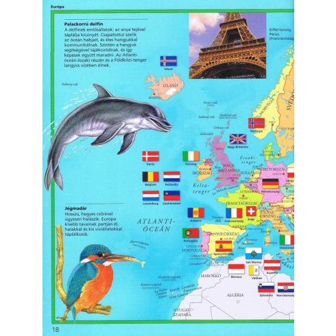 Képes atlasz gyermekeknek - Állatok a világban