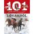 101 dolog, amit jó, ha tudsz a lovakról